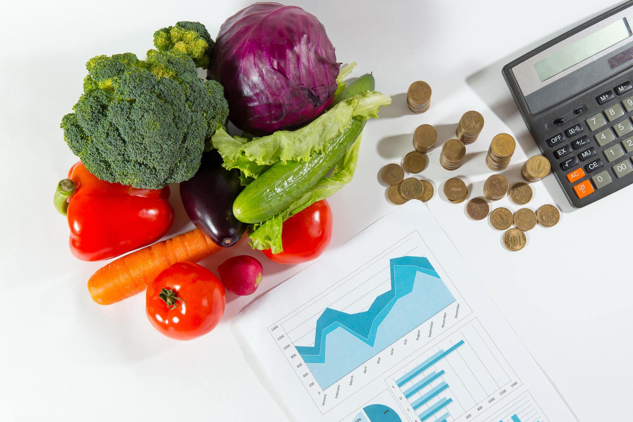 The Power of Meal Planning: Saving Money on Food Expenses